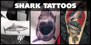 Off the coast of south africa a great white shark breaches the surface to surprise a seal. 50 Fantastic Shark Tattoos That Are Better Than Shark Week Tattooblend