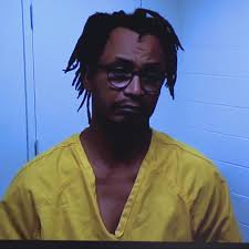 Disturbing details of toddler mauled to death by dogs revealed during  father's arraignment