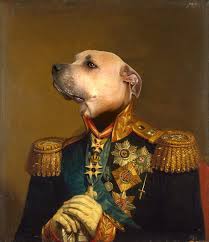 Pet portrait is a unique gift for all pet owners! Photoshop A Funny Old Painting Portrait Of Your Dog Cat Or Pet By Amrsharaka Fiverr
