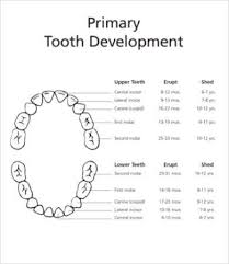 When trying any activity with your child or. Free Printable Preschool Worksheet 9 Free Word Pdf Document Download Free Premium Templates
