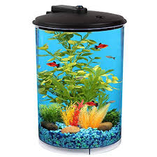 Best betta fish tank reviews. The 12 Best Betta Fish Tanks Reviews Betta Fish Care Guide In 2019