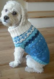 items similar to blue dog sweater on etsy hayvan giysileri kopek evcil hayvan kiyafetleri