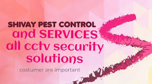 It is just because people are not aware of the side effects of. Shivay Pest Control And Service Home Facebook