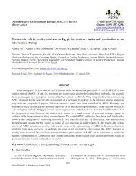 Pdf Escherichia Coli In Broiler Chickens In Egypt Its Virulence Traits And Vaccination As An Intervention Strategy