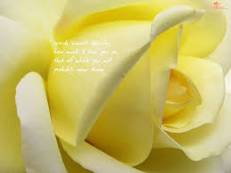 Romantic Love Romantic Love Rose Yellow Roses Flowers