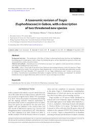 Image result for Tragia grandistipularis