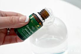 Diy Cat Deterrent Stop Furniture Scratching And Urinating On Carpet Cat Deterrent Cat Deterrent Spray Cat Repellant