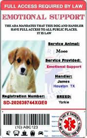 Pin On Service Emotional Support Dog