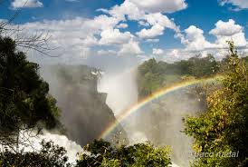We did not find results for: Cataratas Victoria El Gran Espectaculo Natural De Africa Blog Paco Nadal El Pais