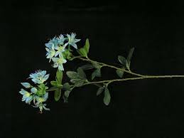 You will also find vase fillers, foam blocks, and more so you can create the perfect centerpiece. Silk Flowers By Color Teal