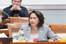 Sebelum ditangkap, adelin lis dikabarkan sempat memesan tiket pulang dari singapura ke medan atas aksinya itu, adelin lis pada 9 juni 2021 diganjar denda 14.000 dolar singapura oleh. Buronan Adelin Lis Ditangkap Legislator Golkar Apresiasi Kbri Singapura