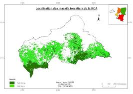 Image result for Raphidiocystis jeffreyana