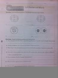 The cell cycle worksheet answers many of the questions that gardeners have. Section 1 Reinforcement Cell Division And Mitosis Answers