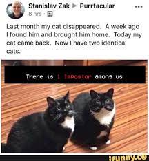 Stanislav Zak Purrtacular Last Month My Cat Disappeared A Week Ago I Found Him And Brought Him Home Today My Cat Came Back Now I I Have Two Identical Cats T In