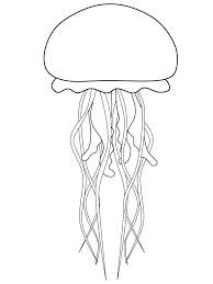Template Jellyfish Painting Jellyfish Art Outline Drawings