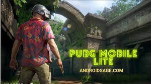 Download Pubg Mobile Lite 0 22 0 Apk And Obb Files