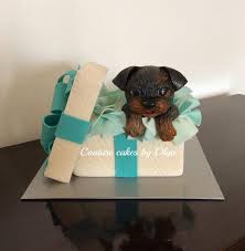 What is commendable is their emphasis on puppy training from housetraining to early socialization, toddlerhood, exercise and grooming, and adolescent dog coping. Puppy In A Box Gift Box Cakes Puppies Chocolate Gift Boxes