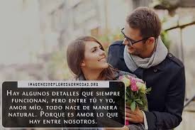 Frases Para Regalar Una Rosa A Mi Novia Te Regalo Esta Frase Imagenes De Flores Hermosas Imagenes Para Estados