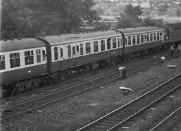 Image result for Grey 1984 Fleet