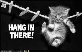 Cheezburger Confidential Itteh Bitteh Kitteh Committeh Lolcats N Funny Pi Cat Quotes Funny Funny Cats Funny Cat Memes