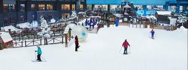 Located in the mall of the emirates in dubai, ski dubai is the region's first indoor ski and snow ski dubai also offers ski and snowboard lessons for all levels. Ski Dubai Mall Of The Emirates Ski Holiday Reviews Skiing