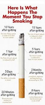 Pin On Clean Lungs