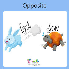تعليم المتضادات للاطفال pdf وسائل تعليمية حديثة بالصور بالعربي نتعلم opposites autism