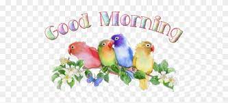 We did not find results for: Good Morning Animation Images Bird Sound Effect Animated Love Birds Gif Free Transparent Png Clipart Images Download