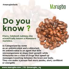 Image result for Monodora