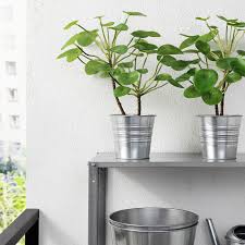 Fejka Artificial Potted Plant Indoor Outdoor Pilea Ikea In 2020 Artificial Potted Plants Plants Artificial Plants