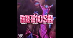 Image result for Manostachya