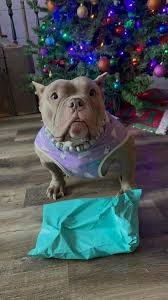 Fairly easy one but wanted to join in