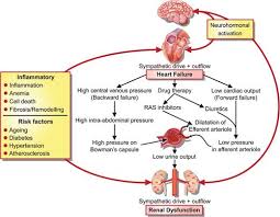 heart failure european heart journal oxford academic