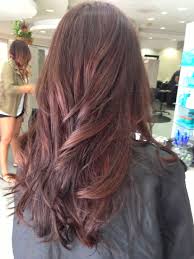 Pin By Briza Bot On Balayage Auburn Balayage Balayage Short Hair Balayage