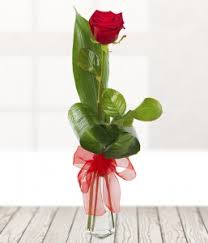 Please contact me on 02088667229 nadine. Rosa Florist London E8 1pe 404 Reviews