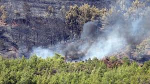 Fethiye'de ikinci el eşya mağazasının deposunda yangın çıktı. Fethiye De Cikan Orman Yangini Sonduruldu