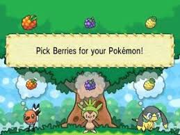 Sitrus berries will heal your pokémon 25% of their max health (30 hp in generation iii). Berry Picker Bulbapedia The Community Driven Pokemon Encyclopedia