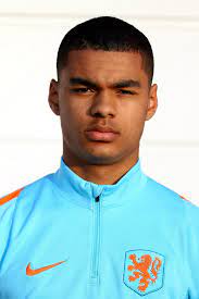 Memphis depay, quincy promes, luuk de jong, steven berghuis, donyell malen, wout weghorst, cody gakpo. Cody Gakpo Wikipedia