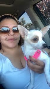 Lost dog in Cathedral City area?