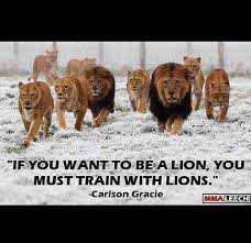 If You Want To Be A Lion