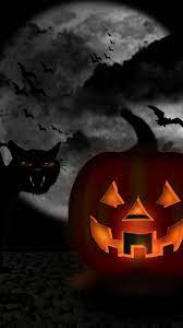 We did not find results for: Halloween 4k Hd Wallpapers Fur Android Apk Herunterladen