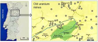 Uranium occurrences uranium minerals uranium ore miner uranium geology categories of natural uranium consists mainly of the isotope u238 (99.3 %) with a small amount (~ 0.7 %) of u235, but u234 is. Uranium Mining Areas In Portugal Periodically Surveyed For Download Scientific Diagram