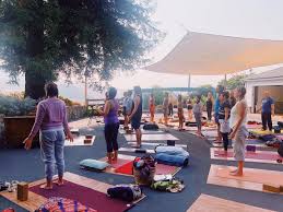 A few photos from the scaravelli inspired santillan yoga retreat, andalucia, spain with teacher catherine annis, 2019. Events Point Reyes Yoga