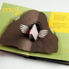 Pin On Bookbinding Pop Ups And Moveables