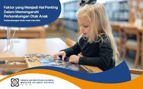 Check spelling or type a new query. 7 Faktor Yang Menjadi Hal Penting Dalam Mempengaruhi Perkembangan Otak Anak Sekolah Prestasi Global