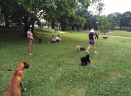 Bandar utama damansara (or simply bandar utama) is a residential township located within the sungai buloh mukim (subdivision) of the petaling district, selangor, malaysia. Furkid Approved Pet Friendly Parks And Pubs Around The Klang Valley Lifestyle Rojak Daily