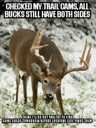 Deer Hunting Meme Deer Hunting Tips Whitetail Deer Hunting Deer Hunting