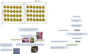 Transcriptome Profiling Of Interaction Effects Of Soybean