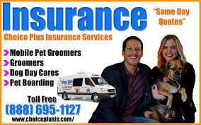Best store to buy cat or dog food & supply products in georgetown. Insurance Legal Taxes Petgroomer Com