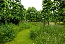 Pin By Lisa Moseley On Rivers Road In 2020 Garden Planning Garden Hedges Garden Design